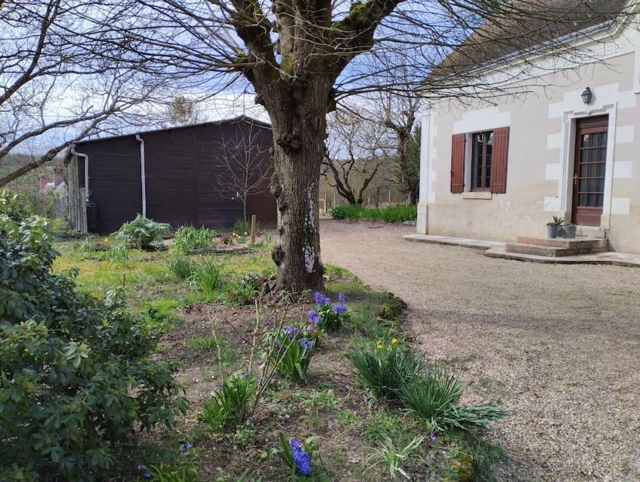 Vila La Jolie Ruche Saint-Georges-sur-Cher Exteriér fotografie